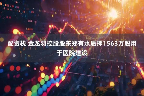 配资栈 金龙羽控股股东郑有水质押1563万股用于医院建设