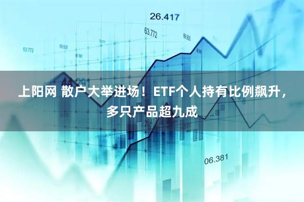 上阳网 散户大举进场！ETF个人持有比例飙升，多只产品超九成